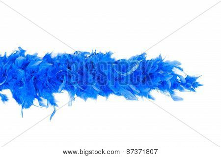 Portion Of Feather Boa