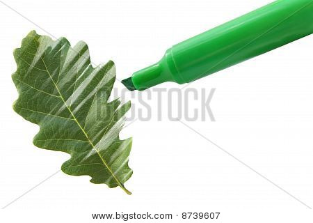 オークの葉を描画