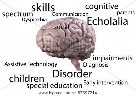 Autism terms against brain