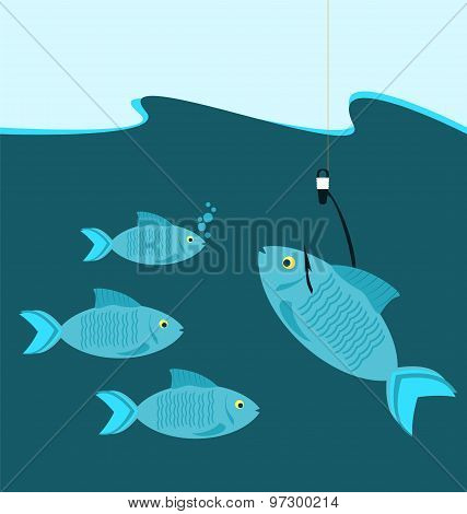 Fish At The Hook