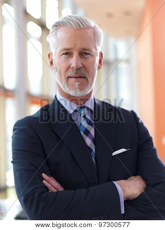 portrait of senior business man with grey beard and hair alone i modern office indoors