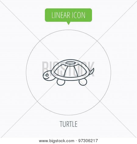 Turtle icon. Tortoise sign.