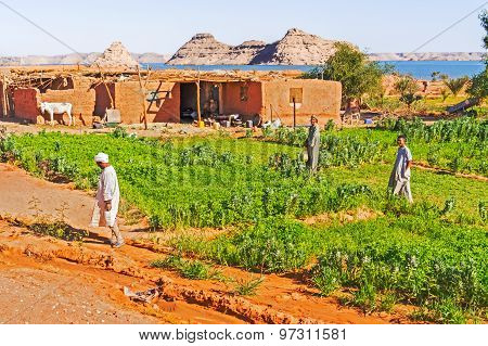 Rural Area Near Lake Nasser In Southern Egypt