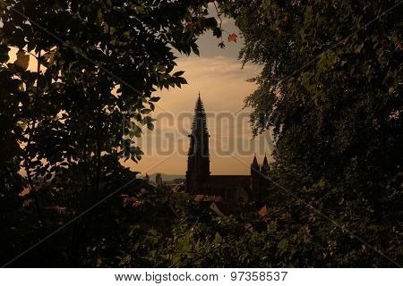 EUROPE GERMANY BLACKFOREST FREIBURG