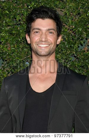 Gavin O'ConnorLOS ANGELES - JUL 29:  David Alpay at the Hallmark 2015 TCA Summer Press Tour Party at the Private Residence on July 29, 2015 in Beverly Hills, CA