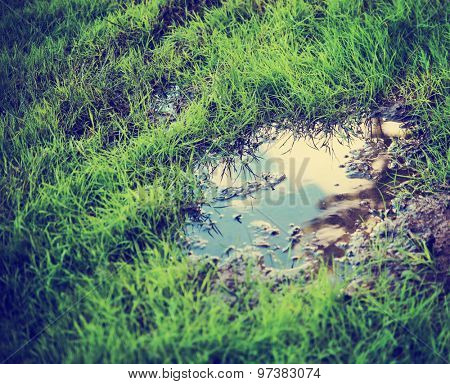 grassy yard lawn or park with puddles in the green field toned with a retro vintage instagram filter app or action effect