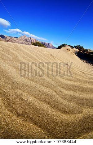 Abstract Yellow Dune Beach  Hil And Mountain    Spain