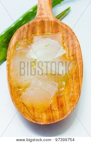 Aloevera - Natural Spas Ingredients  For Skin Care.
