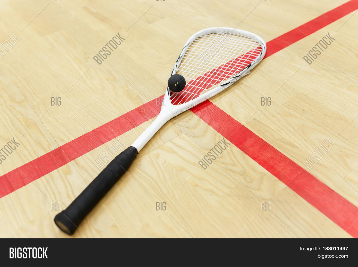 White Squash Racket Image & Photo (Free Trial) Bigstock