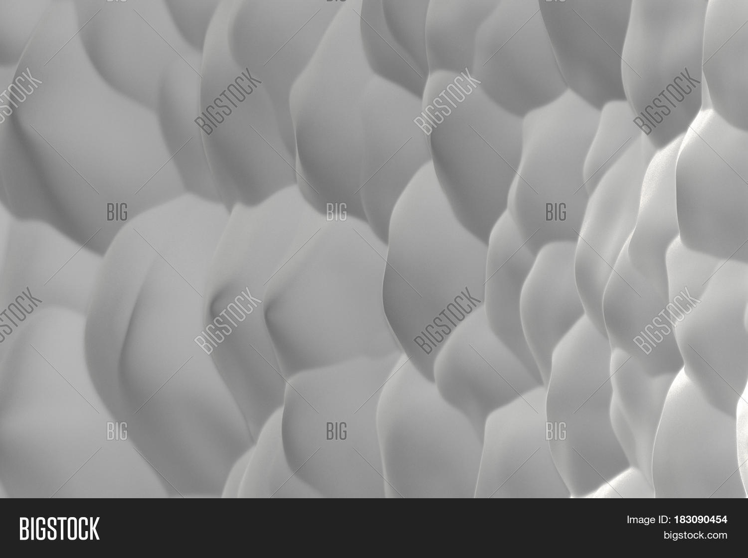 White Abstract Image & Photo (Free Trial) | Bigstock