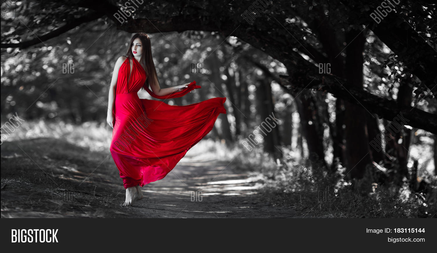 Sexy Fashion Model Image & Photo (Free Trial) Bigstock