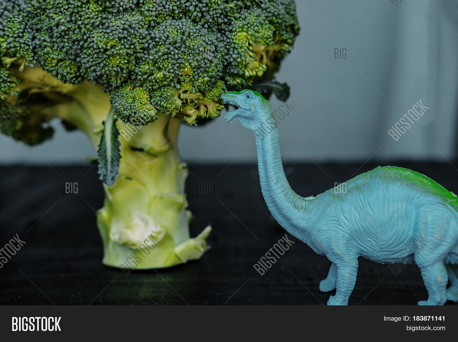 Broccoli Toy Dinosaur Image & Photo (Free Trial) Bigstock