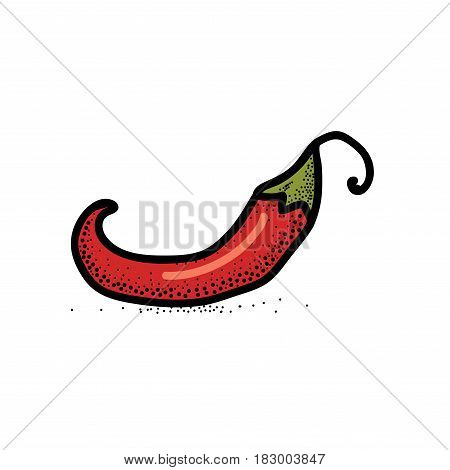 Chili Pepper hand drawn vector illustration. Vegetable artistic style object. Isolated hot spicy mexican pepper. Comic style icon