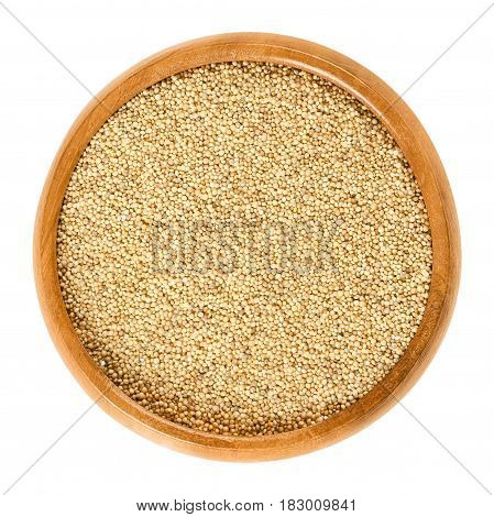 Amaranth grain in wooden bowl. Amaranthus, pseudocereal and staple food of the Aztec, banned by the conquistadores. Sold in health food shops. Isolated macro food photo close up from above over white.
