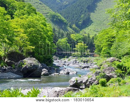 Amazing natural view of mountain and river surrounded by green forest at TAMAKAWA TOKYO JAPAN