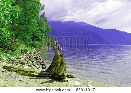 Siberia. Lake Teletskoe. View to the south and the left bank