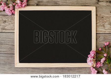 Copy space on a black blackboard with beautiful branches of pink flowering sakura at the corners of the board.