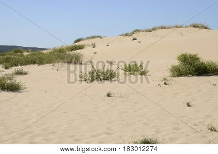 The Dunes of Corrubedo a Natural Park in Galicia Spain