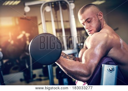Muscular man working out with dumbbells. Arm training and weight lifting in a gym. Sport and bodybuilding.