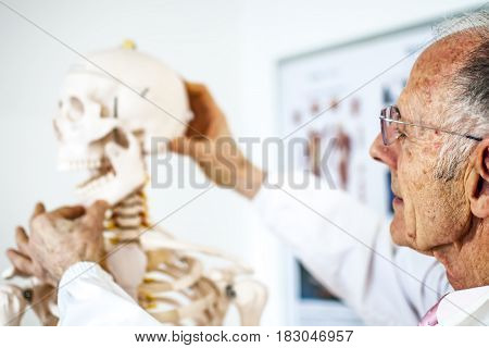 old doctor with white coat teaching with a skeleton
