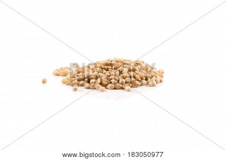 Wheat Grain On White