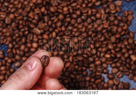 Close-up of fingers showing roasted coffee bean with blurred other coffee beans scattered behind. Shallow depth of field focused on coffee bean. Concept of individual approach to quality control.