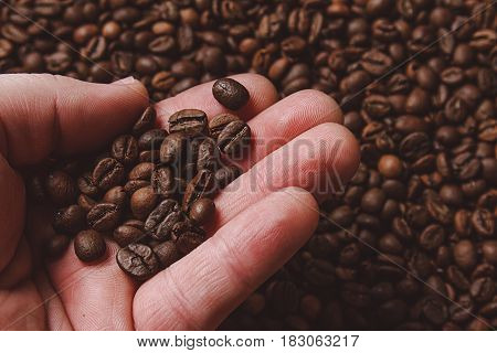Close-up of fingers showing roasted coffee bean with blurred other coffee beans scattered behind. Shallow depth of field focused on coffee bean. Concept of individual approach to quality control.