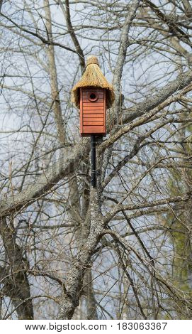 Nesting box. Wooden nest box handmade with thatched roof. Wooden house for birds on the tree. 