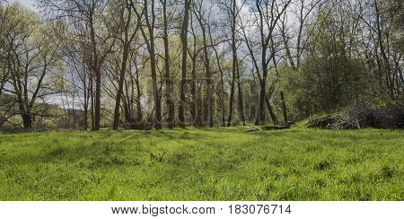 River Bilina near Stadice village in spring sunny day