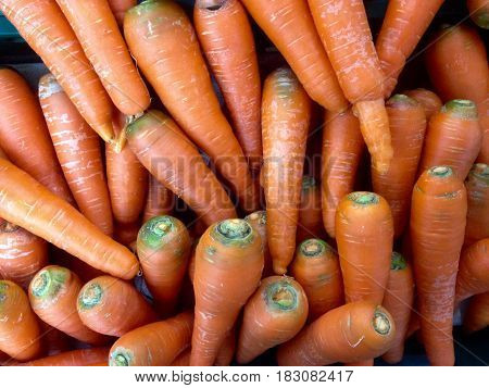 many fresh carots for a background texture