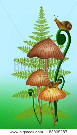 Vector illustration of mashrooms, a fern and a couple of snails on the blue background