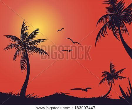 Summer tropical backgrounds set with palms, sky and sunset