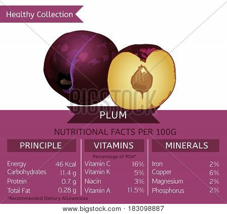 Plum health benefits. Vector illustration with useful nutritional facts. Essential vitamins and minerals in healthy food. Medical, healthcare and dietory concept.