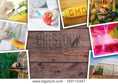 Genetic modification science and technology in agriculture photo collage on wooden background as copy space