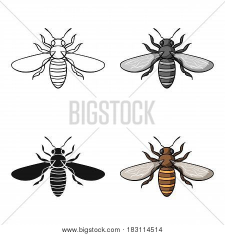 Bee icon in cartoon design isolated on white background. Insects symbol stock vector illustration.