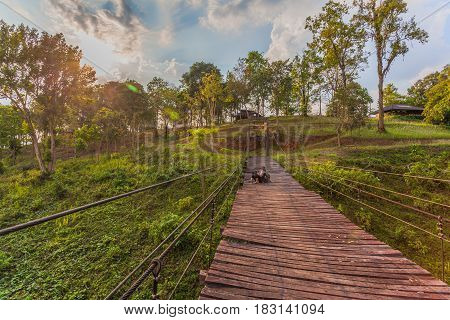 Suspension Bridge At Pompee Viewpoint