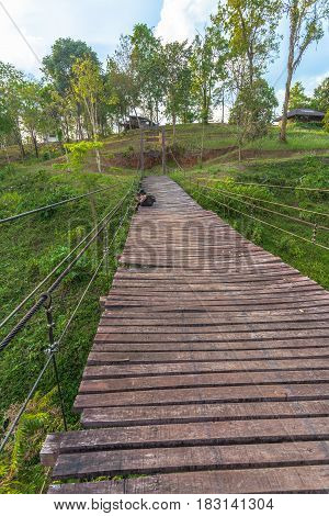 Suspension Bridge At Pompee Viewpoint