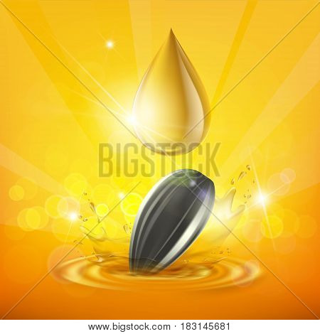 Drop of sunflower oil and seed. Stock vector illustration.