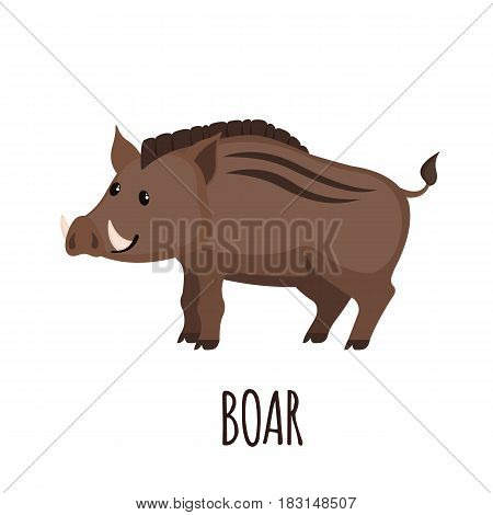 Cute Wild Boar Flat Vector Photo Free Trial Bigstock
