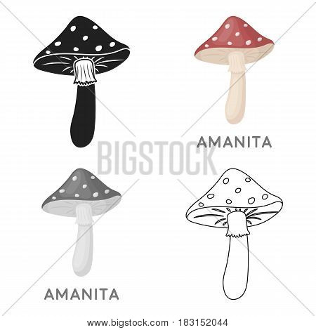 Amanita icon in cartoon style isolated on white background. Mushroom symbol vector illustration.