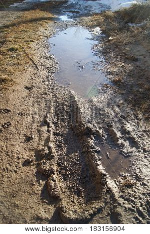 Puddles In Early Spring Time