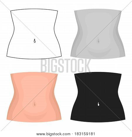 Abdomen icon in cartoon style isolated on white background. Part of body symbol vector illustration.