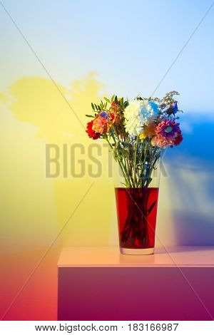 Flowers just starting to wilt in a tall transparent vase and red water in front of a white wall colored a number of colors with speedlights and gels.