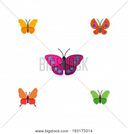Flat Monarch Set Of Moth, Danaus Plexippus, Butterfly And Other Vector Objects. Also Includes Moth, Milkweed, Archippus Elements.