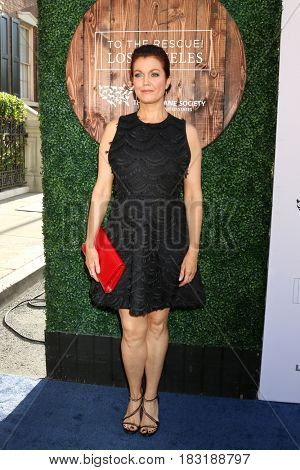 LOS ANGELES - APR 22:  Bellamy Young at the 2017 The Humane Society Gala at Parmount Studios on April 22, 2017 in Los Angeles, CA
