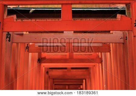 Torii Gate Of Fushimi Inari Taisha In Kyoto, Japan