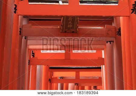 Torii Gate Of Fushimi Inari Taisha In Kyoto, Japan