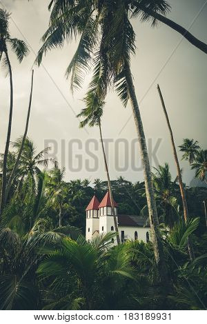 Haapiti Church In Moorea Island Jungle, Landscape