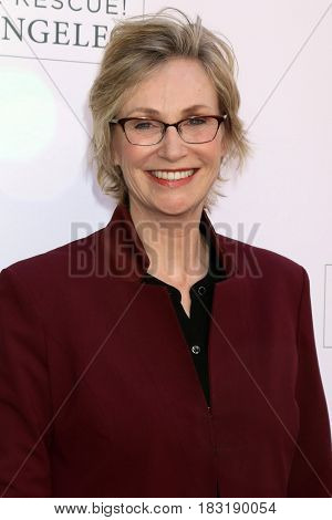 LOS ANGELES - APR 22:  Jane Lynch at the 2017 The Humane Society Gala at Parmount Studios on April 22, 2017 in Los Angeles, CA