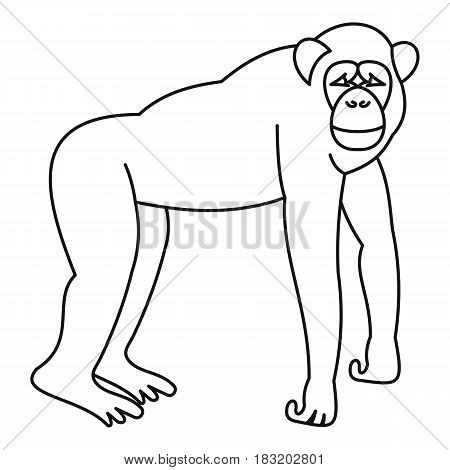 Marmoset monkey icon in outline style isolated on white background vector illustration
